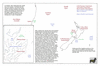 bel20m sydney to nz_thumb.gif